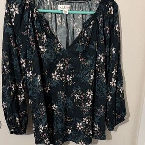 Velvet by Graham and Spencer - M